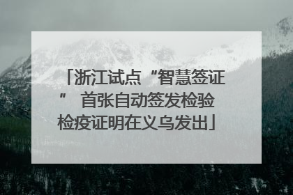 浙江试点“智慧签证” 首张自动签发检验检疫证明在义乌发出