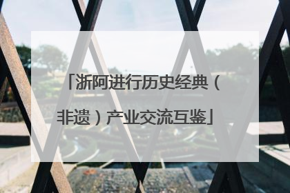 浙阿进行历史经典（非遗）产业交流互鉴