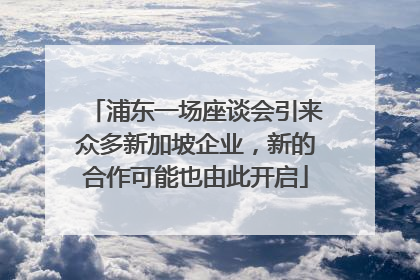 浦东一场座谈会引来众多新加坡企业，新的合作可能也由此开启