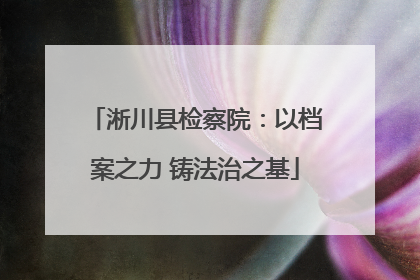淅川县检察院：以档案之力 铸法治之基