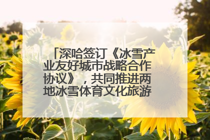 深哈签订《冰雪产业友好城市战略合作协议》，共同推进两地冰雪体育文化旅游高质量发展