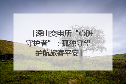 深山变电所“心脏守护者”：孤独守望护航旅客平安
