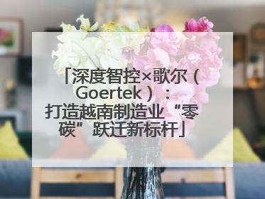 深度智控×歌尔（Goertek）：打造越南制造业“零碳”跃迁新标杆