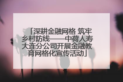 深耕金融网格 筑牢乡村防线——中荷人寿大连分公司开展金融教育网格化宣传活动