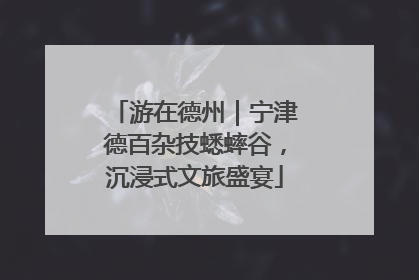游在德州｜宁津德百杂技蟋蟀谷，沉浸式文旅盛宴