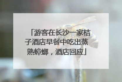 游客在长沙一家桔子酒店早餐中吃出蒸熟蟑螂，酒店回应