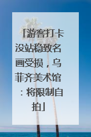 游客打卡没站稳致名画受损，乌菲齐美术馆：将限制自拍