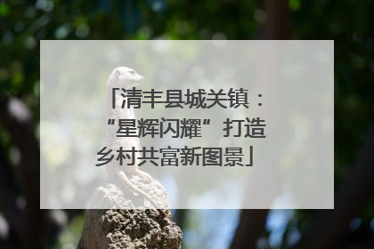清丰县城关镇：“星辉闪耀”打造乡村共富新图景