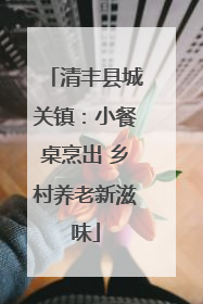 清丰县城关镇：小餐桌烹出 乡村养老新滋味