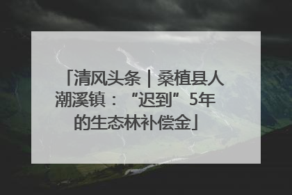 清风头条｜桑植县人潮溪镇：“迟到”5年的生态林补偿金