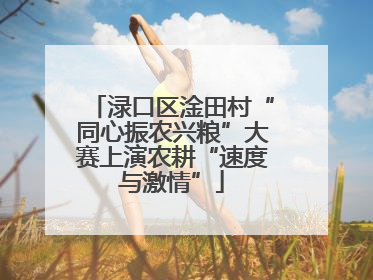 渌口区淦田村“同心振农兴粮”大赛上演农耕“速度与激情”