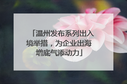 温州发布系列出入境举措，为企业出海增底气添动力