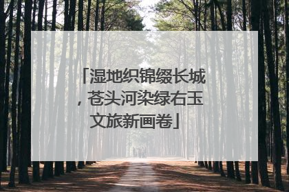 湿地织锦缀长城，苍头河染绿右玉文旅新画卷