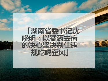 湖南省委书记沈晓明：以猛药去疴的决心坚决刹住违规吃喝歪风
