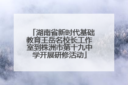湖南省新时代基础教育王岳名校长工作室到株洲市第十九中学开展研修活动