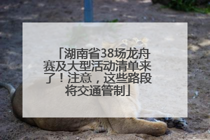 湖南省38场龙舟赛及大型活动清单来了！注意，这些路段将交通管制