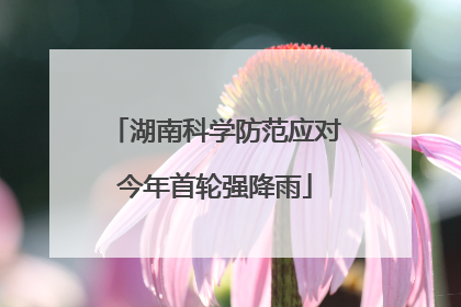 湖南科学防范应对今年首轮强降雨