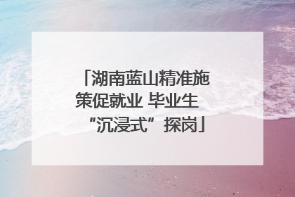 湖南蓝山精准施策促就业 毕业生“沉浸式”探岗