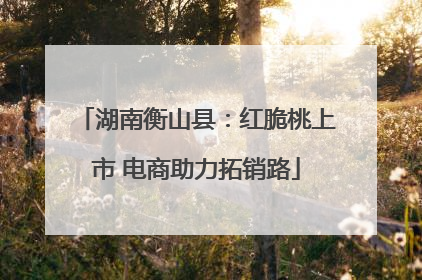 湖南衡山县：红脆桃上市 电商助力拓销路