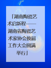 湖南陶瓷艺术启新程——湖南省陶瓷艺术家协会换届工作大会圆满举行