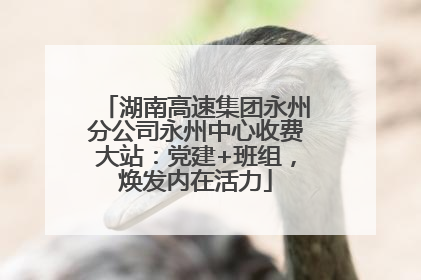 湖南高速集团永州分公司永州中心收费大站：党建+班组，焕发内在活力