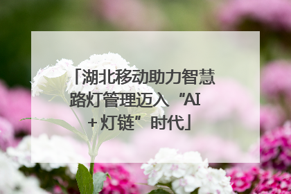 湖北移动助力智慧路灯管理迈入“AI＋灯链”时代