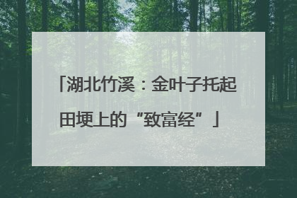 湖北竹溪：金叶子托起田埂上的“致富经”