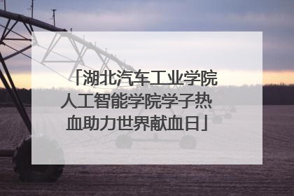 湖北汽车工业学院人工智能学院学子热血助力世界献血日