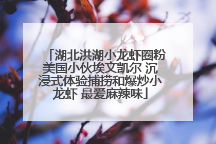 湖北洪湖小龙虾圈粉美国小伙埃文凯尔 沉浸式体验捕捞和爆炒小龙虾 最爱麻辣味