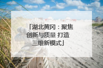 湖北黄冈：聚焦创新与质量 打造三维新模式