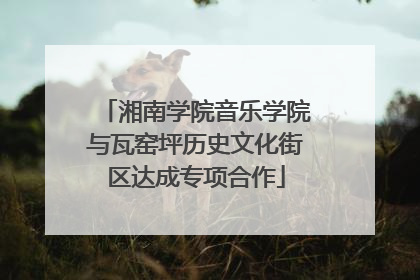 湘南学院音乐学院与瓦窑坪历史文化街区达成专项合作