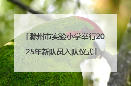 滁州市实验小学举行2025年新队员入队仪式