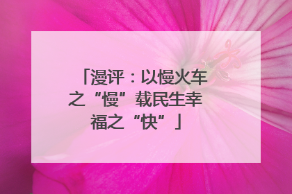 漫评：以慢火车之“慢”载民生幸福之“快”