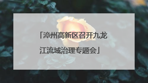 漳州高新区召开九龙江流域治理专题会