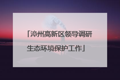 漳州高新区领导调研生态环境保护工作