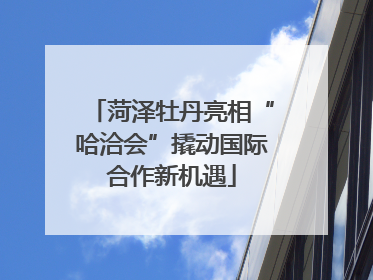 菏泽牡丹亮相“哈洽会”撬动国际合作新机遇