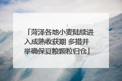 菏泽各地小麦陆续进入成熟收获期 多措并举确保夏粮颗粒归仓