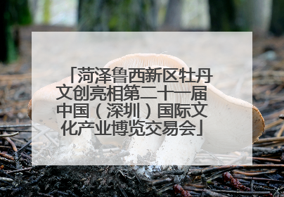 菏泽鲁西新区牡丹文创亮相第二十一届中国（深圳）国际文化产业博览交易会