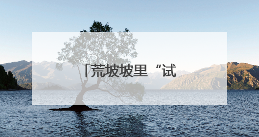 荒坡坡里“试”出希望果