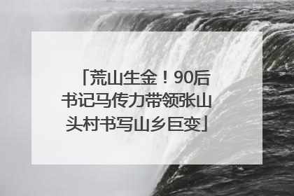 荒山生金！90后书记马传力带领张山头村书写山乡巨变