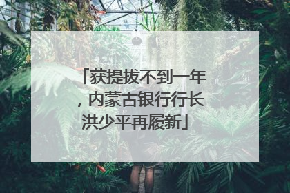 获提拔不到一年，内蒙古银行行长洪少平再履新