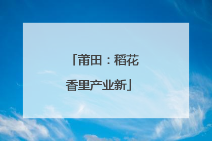 莆田：稻花香里产业新
