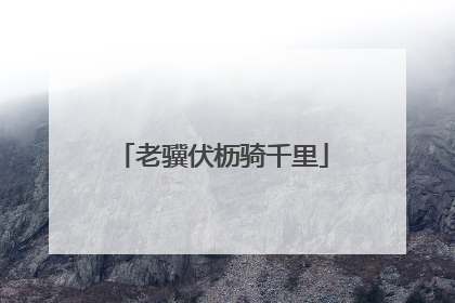 老骥伏枥骑千里