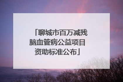 聊城市百万减残脑血管病公益项目资助标准公布