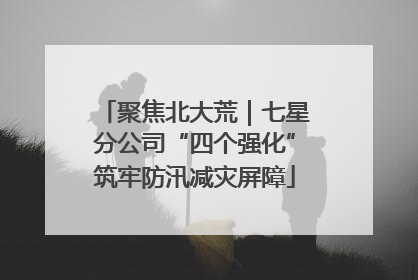 聚焦北大荒｜七星分公司“四个强化”筑牢防汛减灾屏障