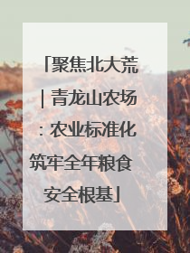 聚焦北大荒｜青龙山农场：农业标准化筑牢全年粮食安全根基