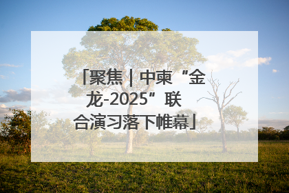 聚焦｜中柬“金龙-2025”联合演习落下帷幕