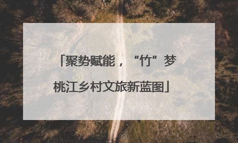 聚势赋能，“竹”梦桃江乡村文旅新蓝图