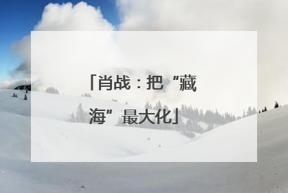 肖战：把“藏海”最大化