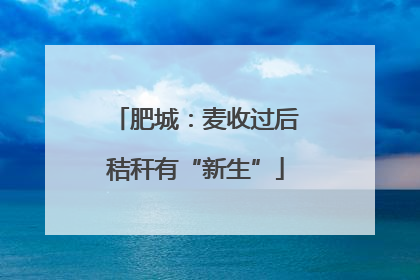 肥城：麦收过后秸秆有“新生”